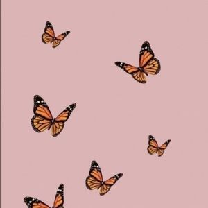 Meet your Posher, Kylee